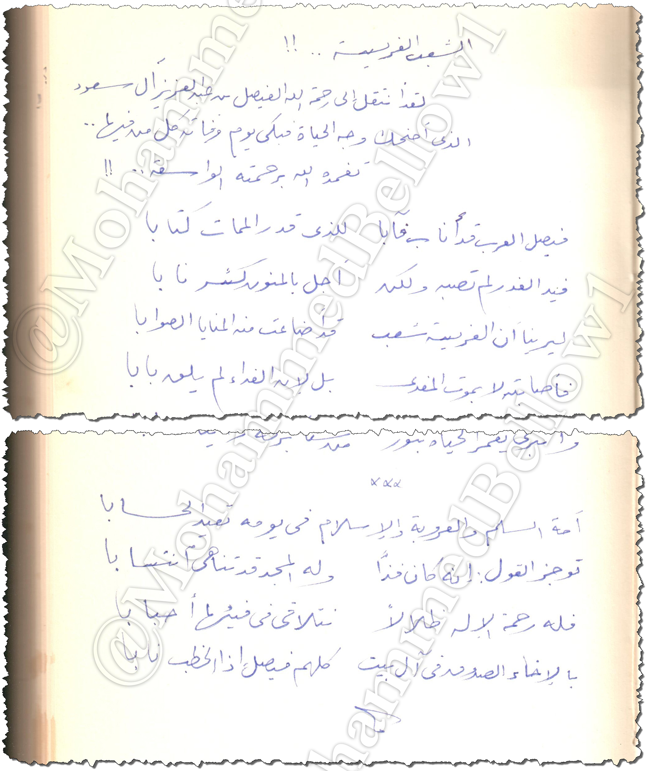 حكاية مرثية الملك فيصل رحمه الله «الشعب الفريسة»